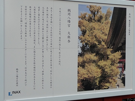 110308-鶴岡八幡宮 (7)