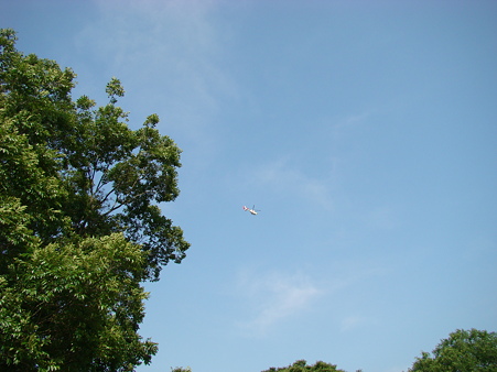 万博公園 2010-6-12