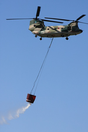 CH-47J #495 IMG_0656