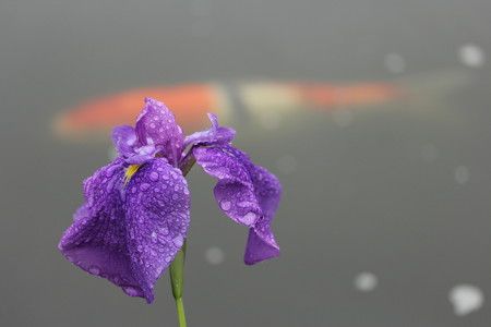 04