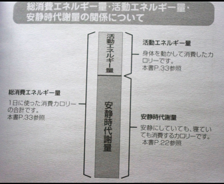 スクリーンショット(2010-12-22 10.41.47)