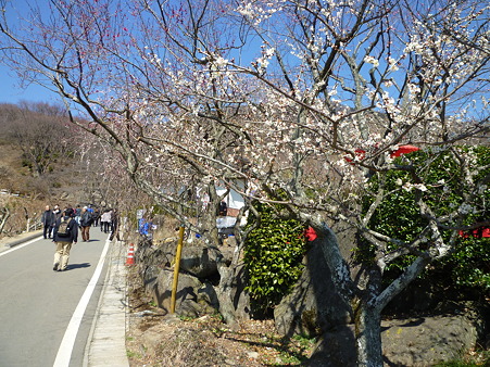 つくば梅林公園