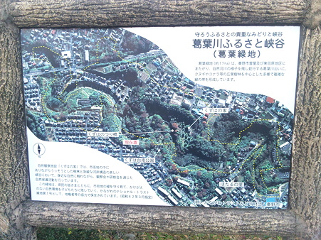 SBSH0020