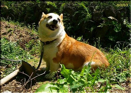あぁああああ
