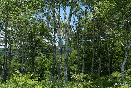 DSC05415