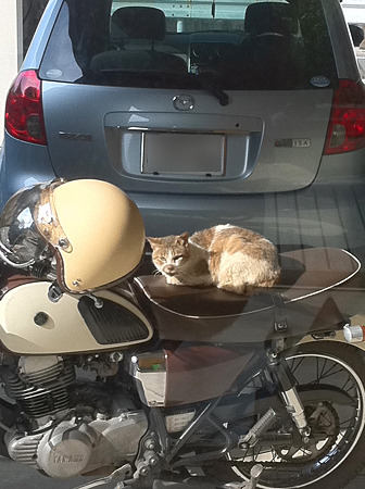 写真