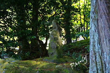 木漏れ日のなかの慈しみ・・長月の浄智寺・・5