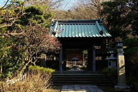 常立寺にて・・2