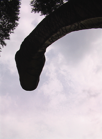 IMGA0089