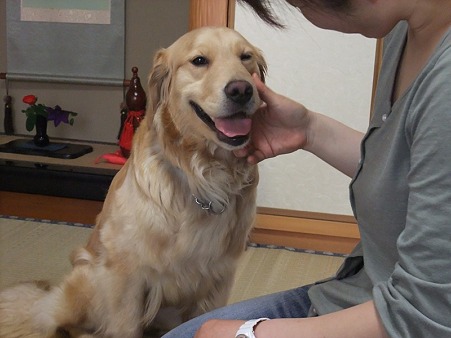 ママさんも優しいしね~~