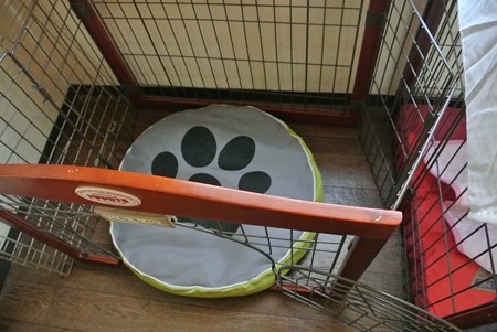 5つ