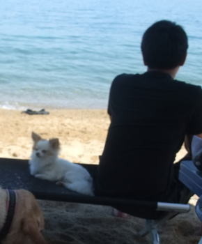 海で二人でたそがれる