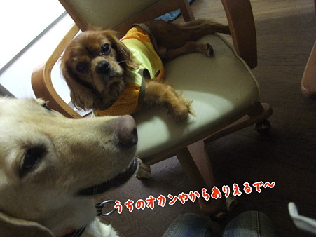 悠大のぼやき6