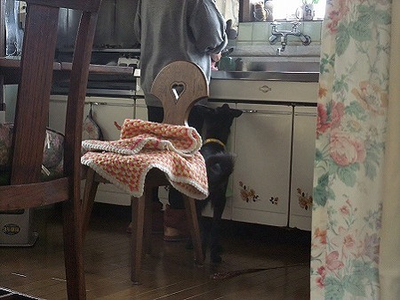 「それ、ボクにくれるの?」