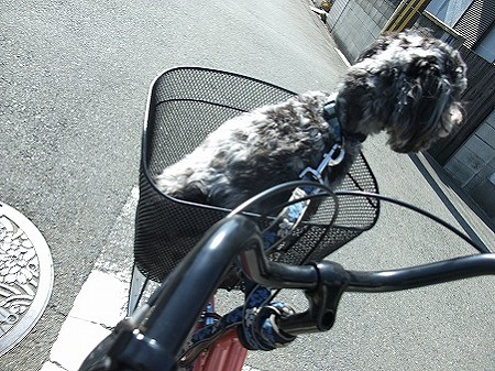 今日は春ちんも居るよ♪