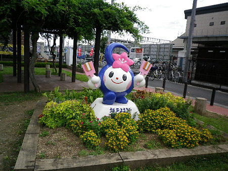 IMGP0898