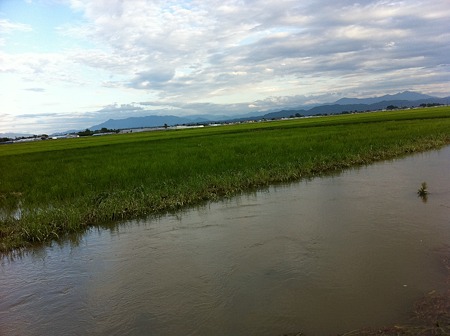 7月31日 (18)