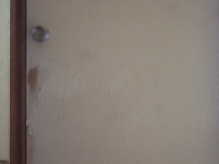 DSCF5508