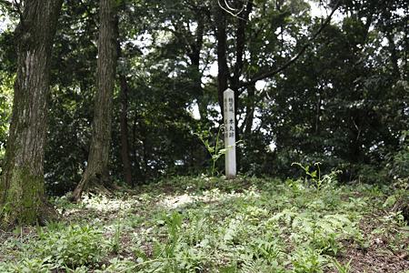 鶴賀城 - 05