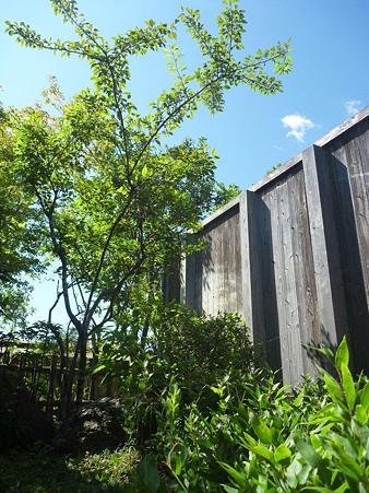 P1060226