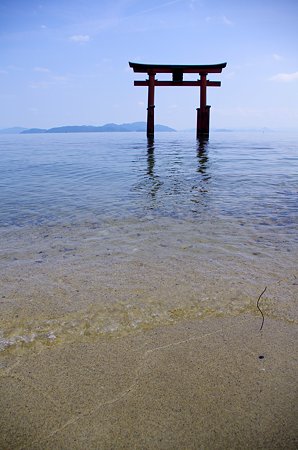 IMGP2083