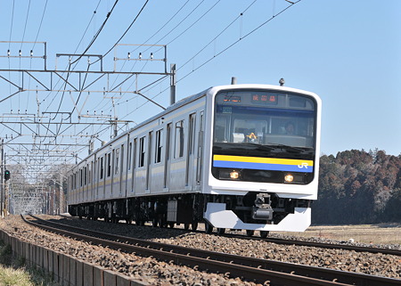 209(D2)0305