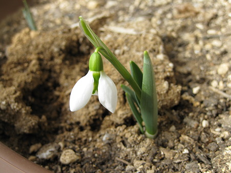 2月24日