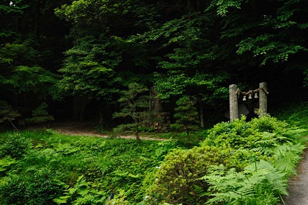 1106220641_DSC_0688