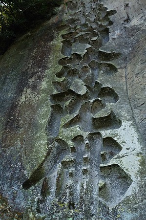 1001021041_DSC_6389