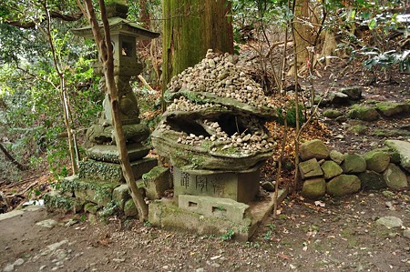1001031253_DSC_8320