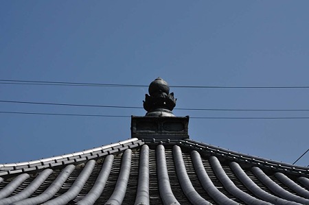1003221216_DSC_1034