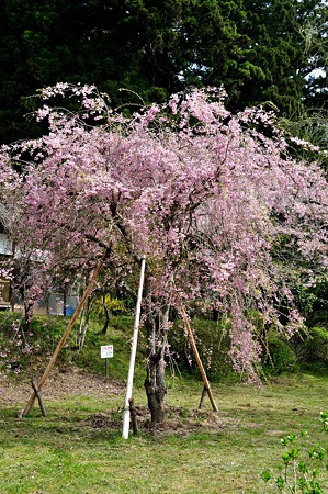 1005030847_DSC_2945