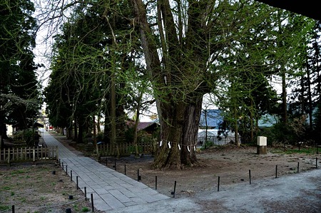 1005051710_DSC_5990