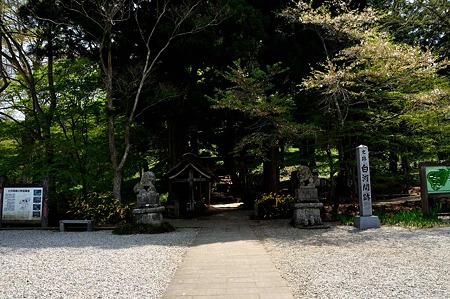 1005061043_DSC_6366