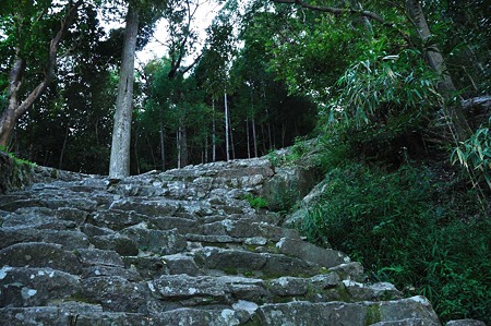 1009191612_DSC_2185