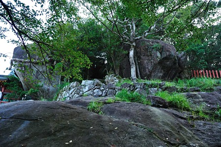 1009191623_DSC_2222