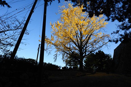 1011231504_DSC_4703