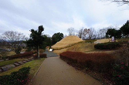 1101020854_DSC_6800