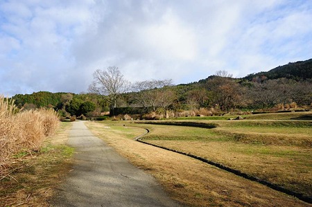 1101021011_DSC_6913