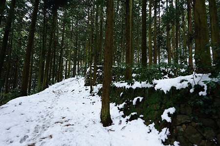 1101021225_DSC_7151