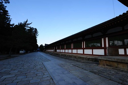 1101040846_DSC_8327