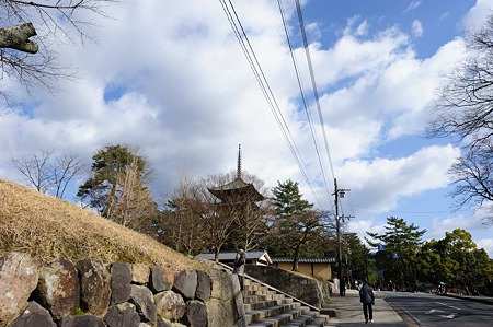 1101041205_DSC_8715