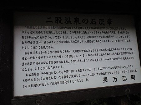 CA391048
