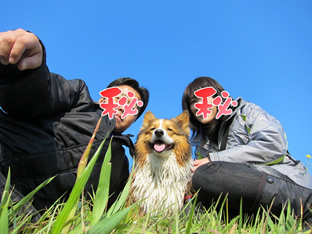 写真 1