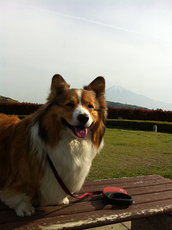 写真 1