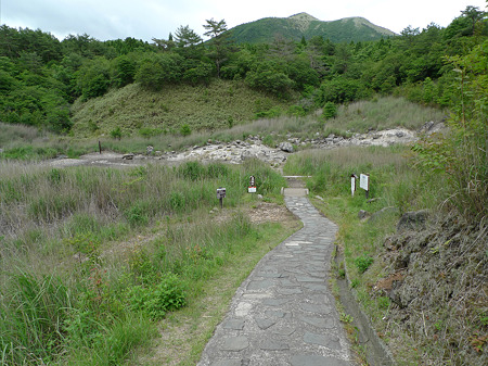 雀地獄(1)