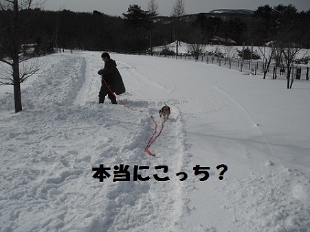 DSCF6038
