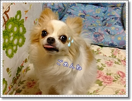 ・゚・(人□≦`*)ゴメンネ☆