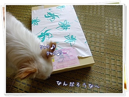 何だろうな?