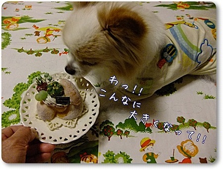おおきくなったね~♪